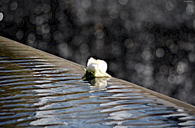 close and distant